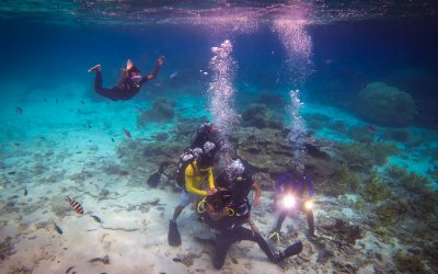 PADI Underwater Videographer Specialty course